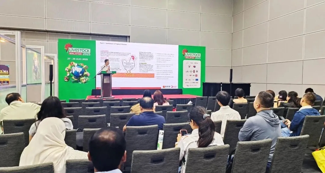 战术家（三） ｜ 热带蛋鸡养殖的高效装备与科学管理