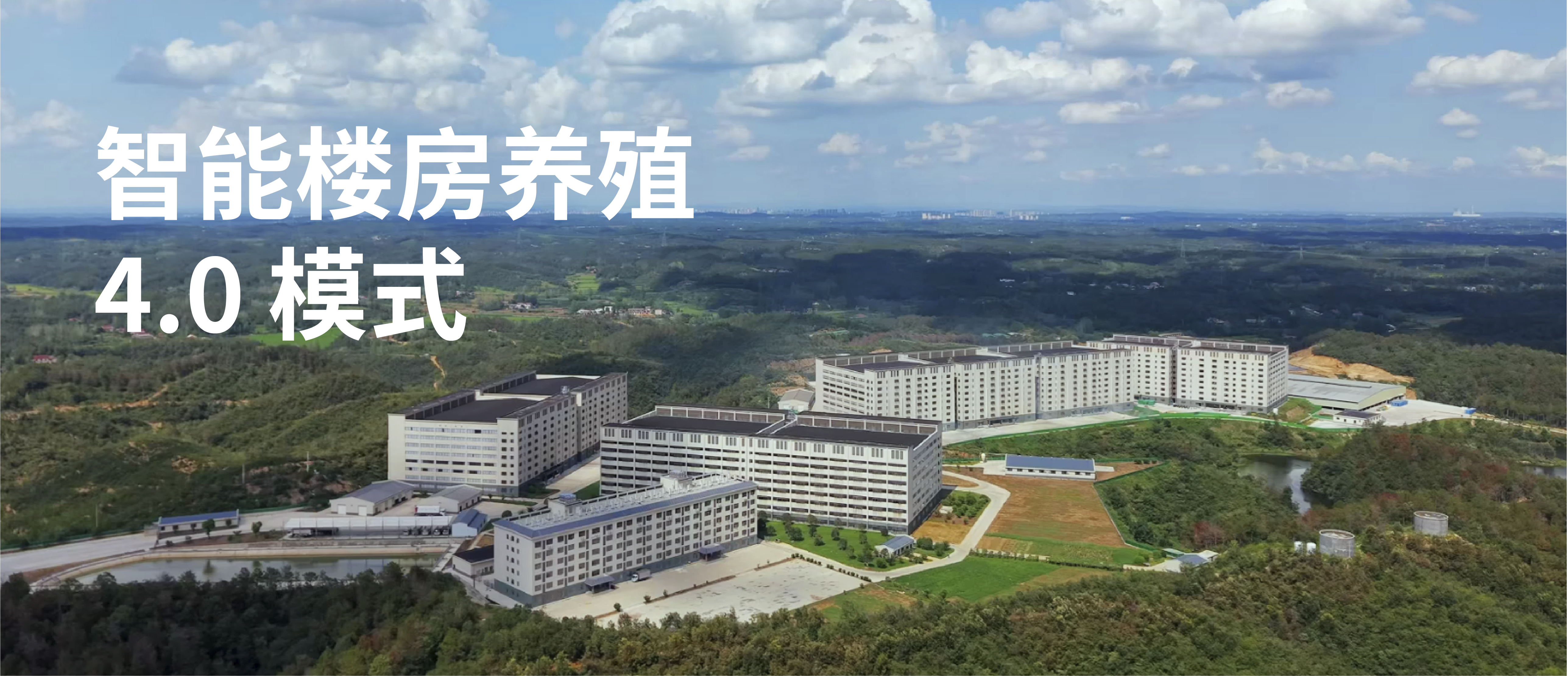 战术家（五）｜ 揭秘新增鑫楼房养殖4.0核心创新点