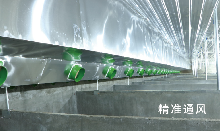 未标题-1-03.jpg 未标题-1-03.jpg