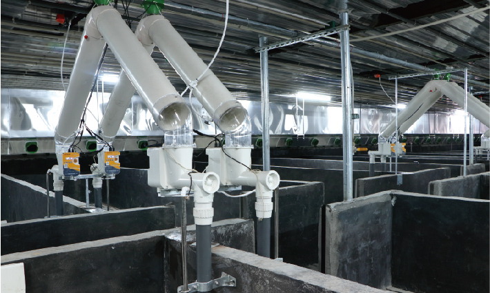 未标题-1-02.jpg 未标题-1-02.jpg